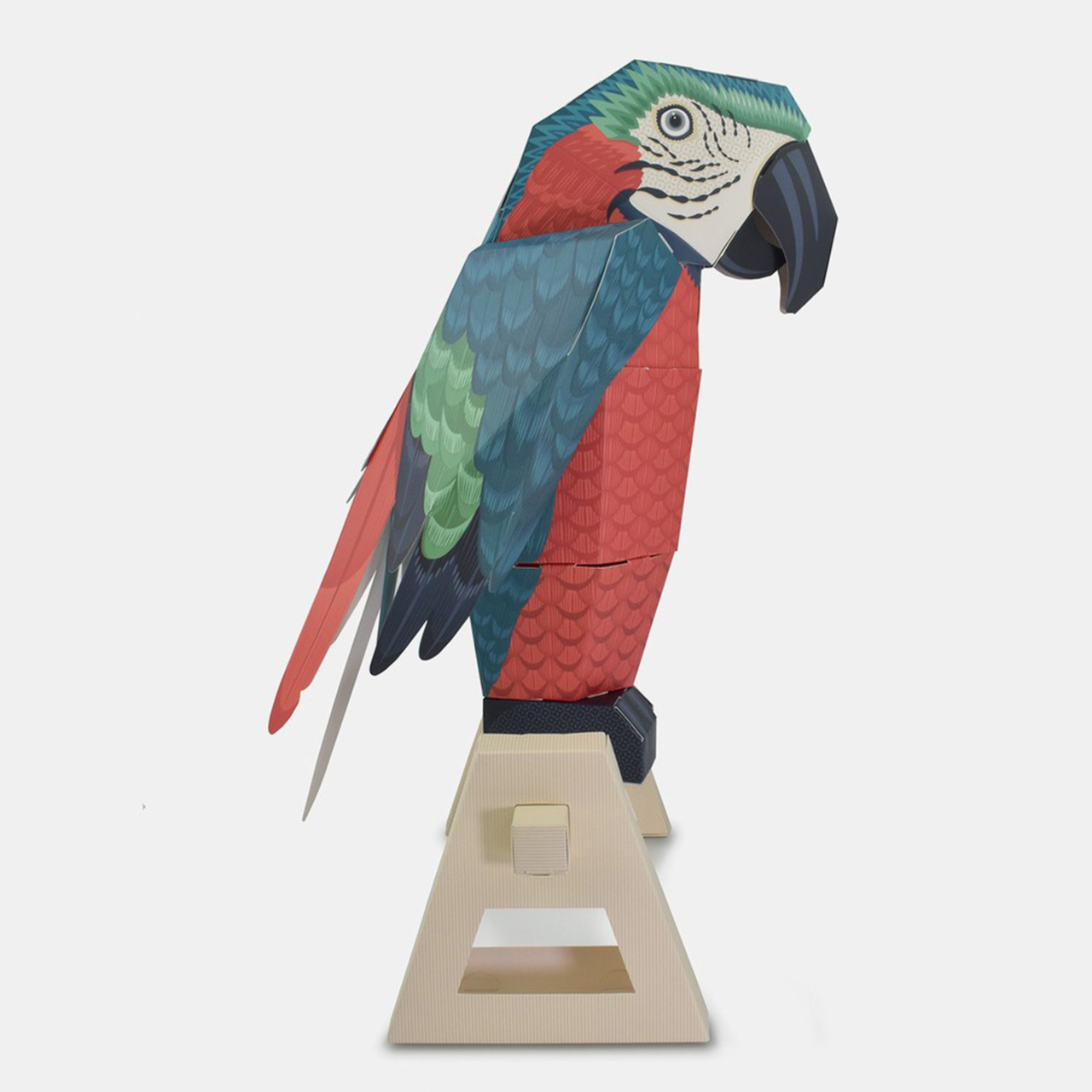 美しいオウムと専用スタンドセット(組み立て式ペーパークラフト)WORLD-18-PARROT - 画像 (3)