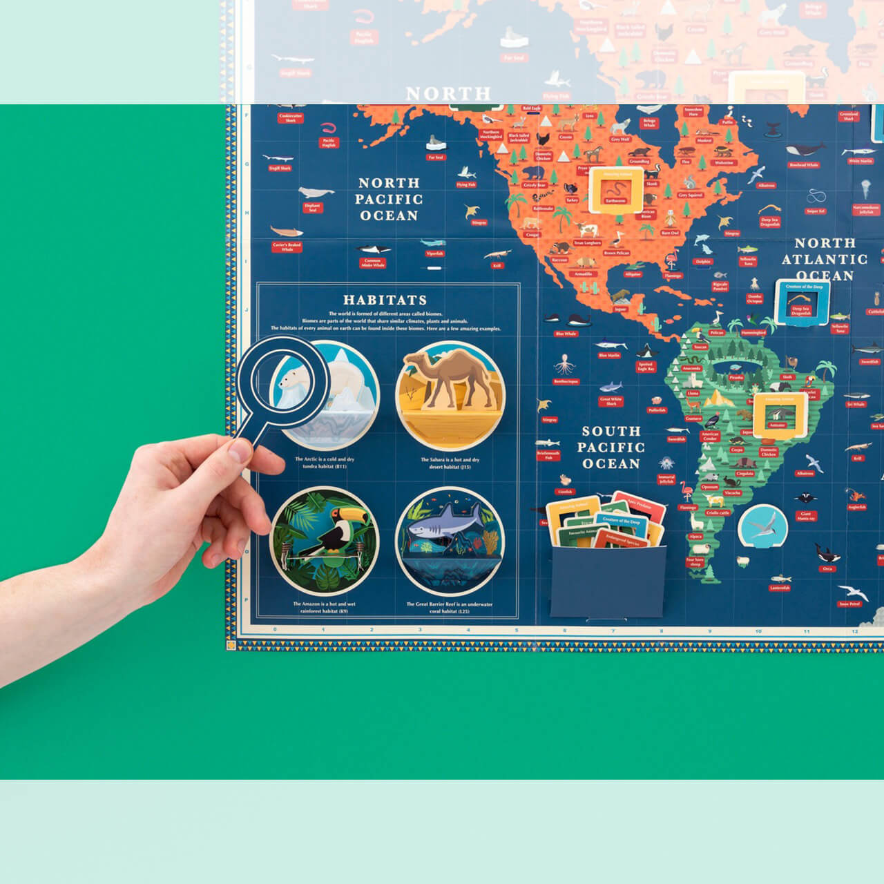 ANIMAL KINGDOM GIANT MAP(動物世界地図)*英国GIFT OF THE YEAR 2025受賞 WORLD-23-ANIMALMA - 画像 (3)