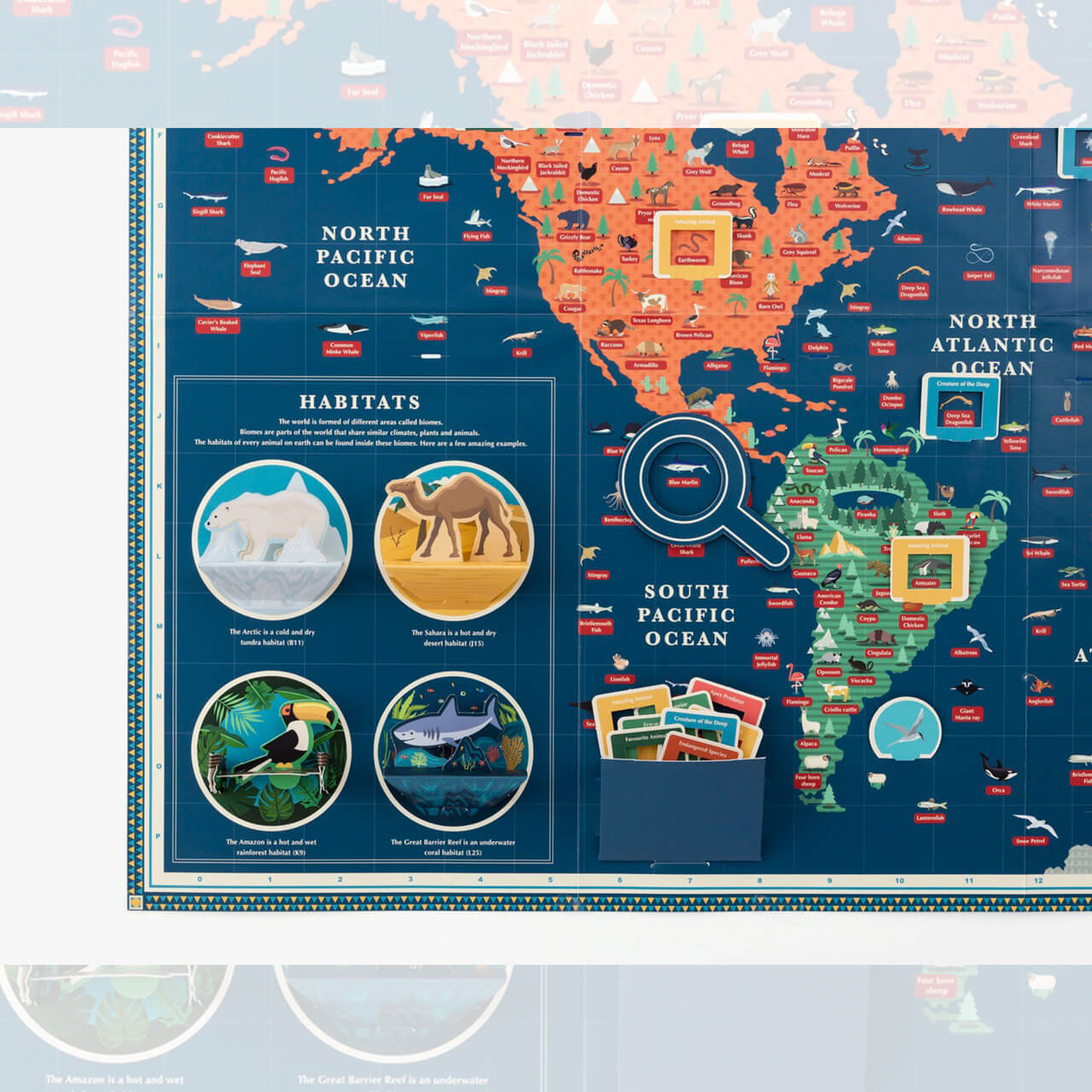 ANIMAL KINGDOM GIANT MAP(動物世界地図)*英国GIFT OF THE YEAR 2025受賞 WORLD-23-ANIMALMA - 画像 (4)