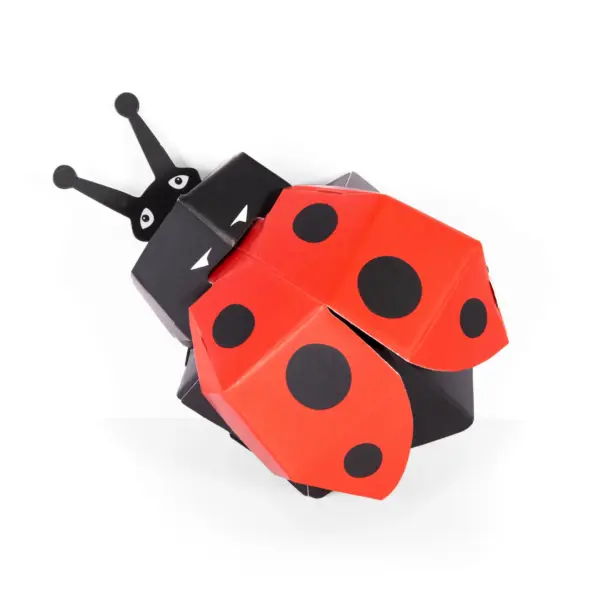 自分だけの素敵なテントウムシを作ろう（組み立て式ペーパークラフト）BBB-23-LADYBIRD - 画像 (2)
